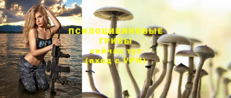 Псилоцибиновые грибы Magic Shrooms  Ялта 